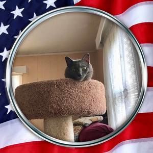 Meet your Posher, Ann